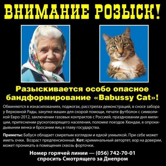 Бабуся, яка переписала хату на кота: інтернет жартує. ФОТО